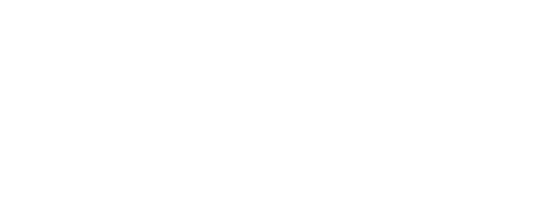 Berlin Pub Crawl
